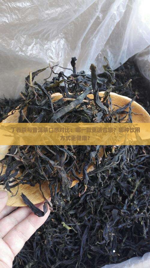 丁香茶与普洱茶口感对比：哪一款更适合您？哪种饮用方式更健康？