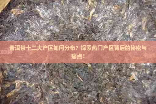 普洱茶十二大产区如何分布？探索热门产区背后的秘密与痛点！