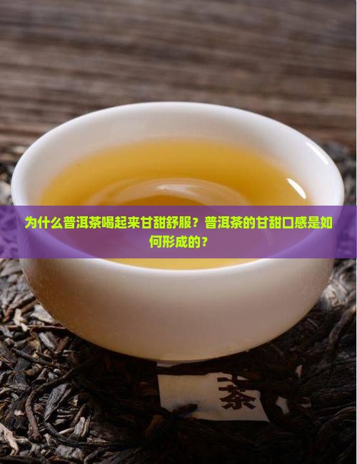 为什么普洱茶喝起来甘甜舒服？普洱茶的甘甜口感是如何形成的？