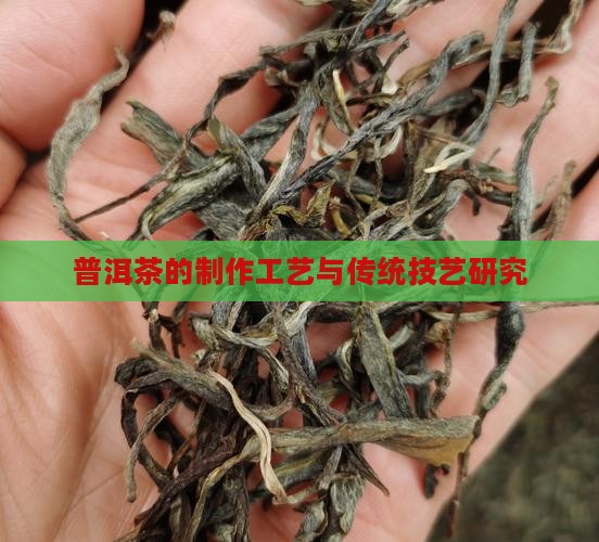 普洱茶的制作工艺与传统技艺研究