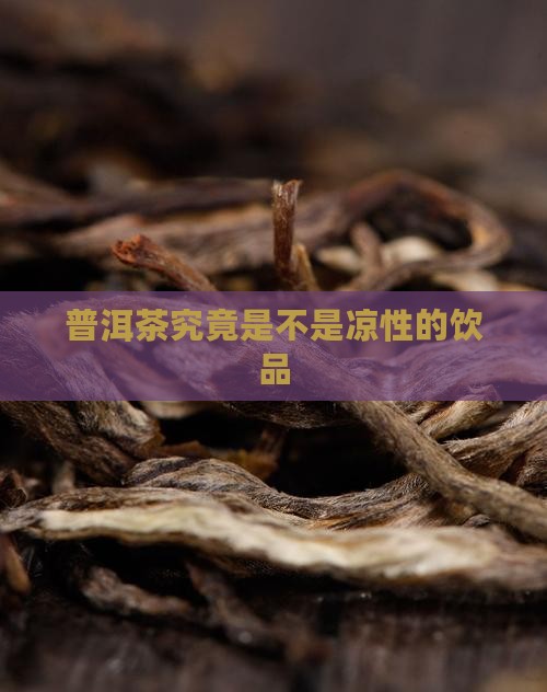 普洱茶究竟是不是凉性的饮品