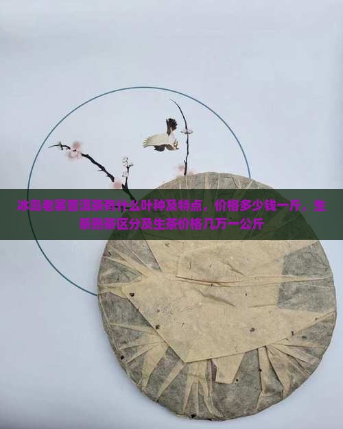 冰岛老寨普洱茶有什么叶种及特点，价格多少钱一斤，生茶熟茶区分及生茶价格几万一公斤