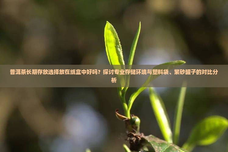 普洱茶长期存放选择放在纸盒中好吗？探讨专业存储环境与塑料袋、紫砂罐子的对比分析
