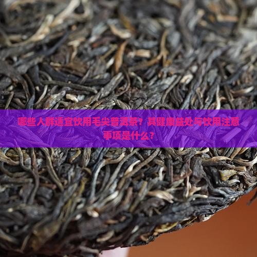 哪些人群适宜饮用毛尖普洱茶？其健康益处与饮用注意事项是什么？