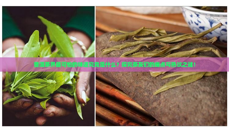 普洱茶界最可怕的味道究竟是什么？探究茶友们的痛点与热议之谜！