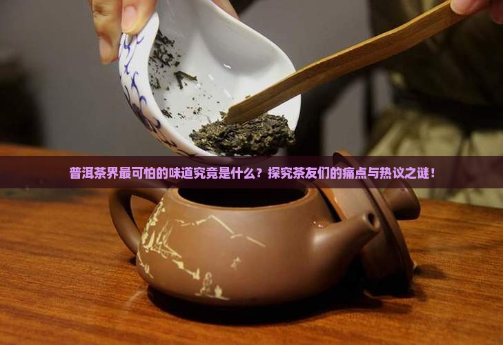 普洱茶界最可怕的味道究竟是什么？探究茶友们的痛点与热议之谜！