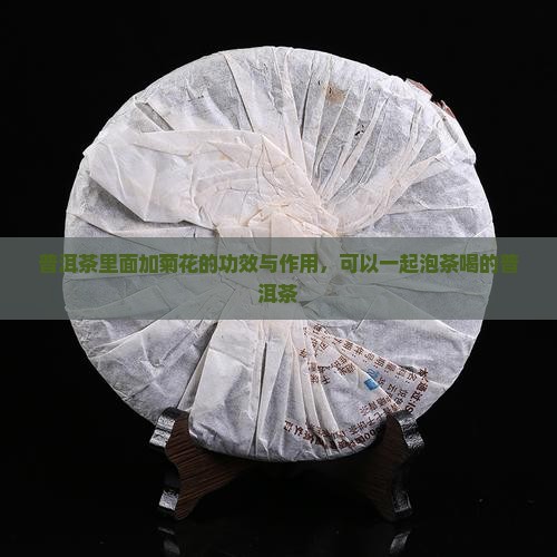普洱茶里面加菊花的功效与作用，可以一起泡茶喝的普洱茶