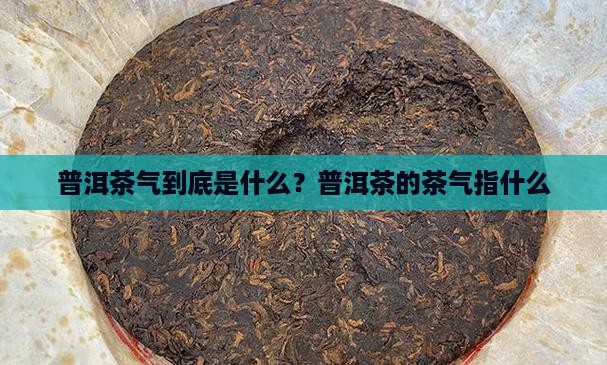 普洱茶气到底是什么？普洱茶的茶气指什么