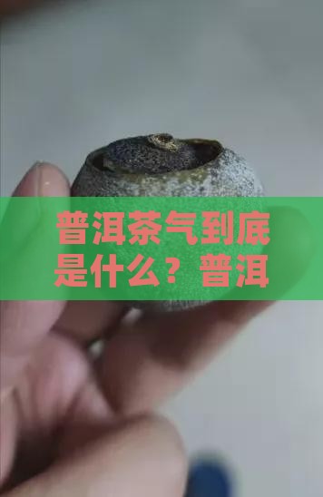 普洱茶气到底是什么？普洱茶的茶气指什么
