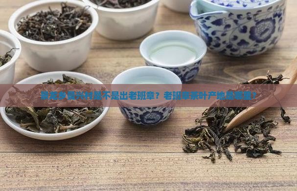 景龙乡曼兴村是不是出老班章？老班章茶叶产地是哪里？