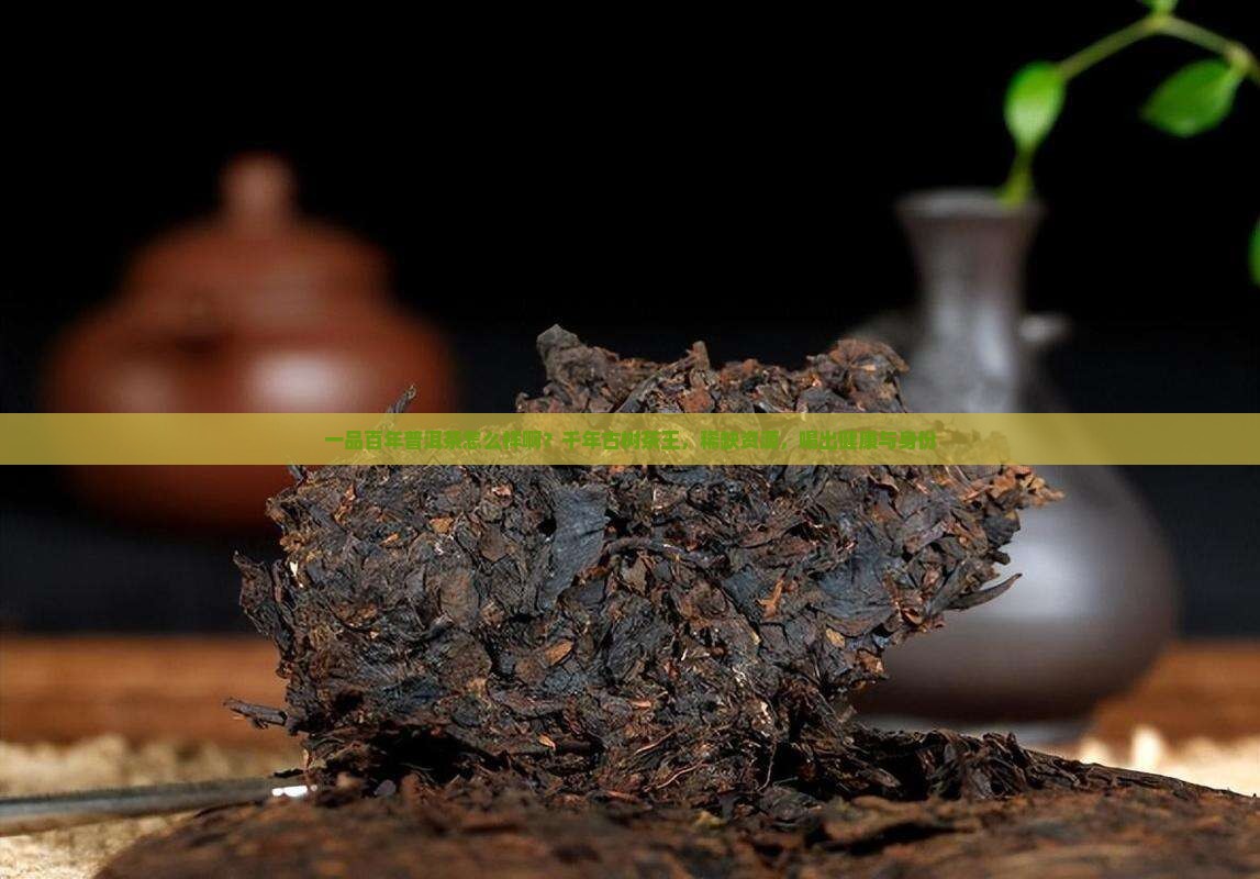一品百年普洱茶怎么样啊？千年古树茶王，稀缺资源，喝出健康与身份