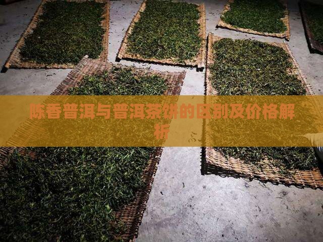 陈香普洱与普洱茶饼的区别及价格解析