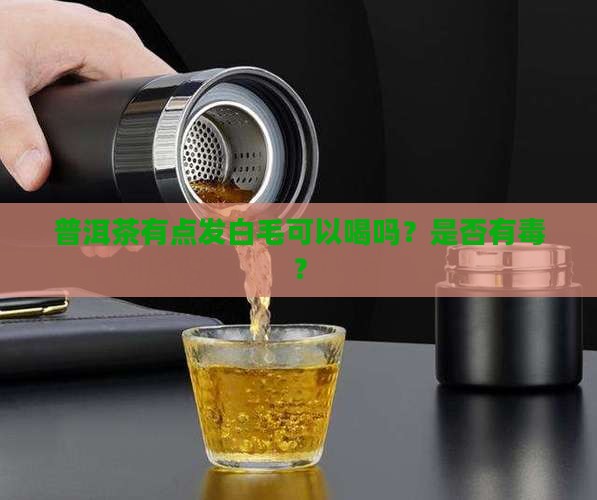 普洱茶有点发白毛可以喝吗？是否有毒？