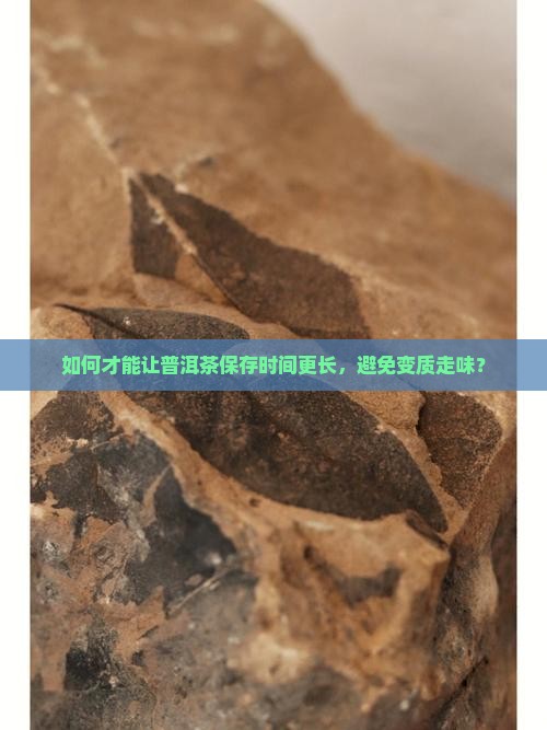 如何才能让普洱茶保存时间更长，避免变质走味？