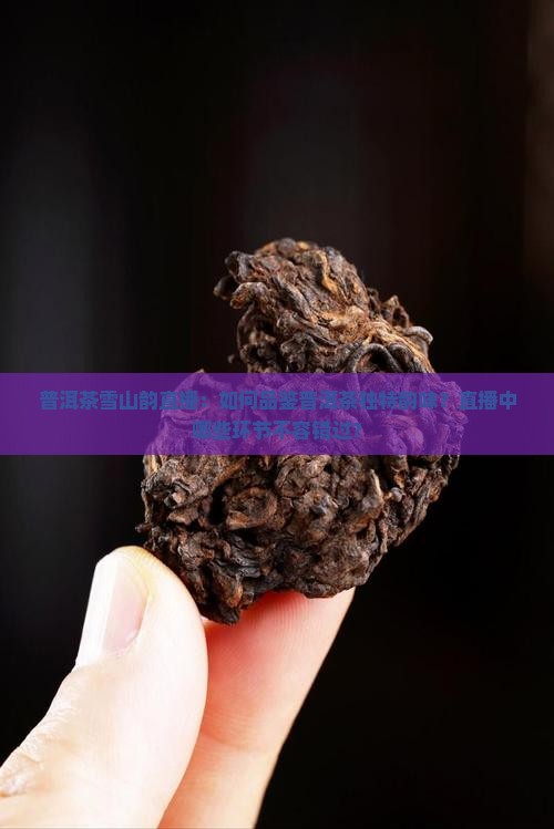 普洱茶雪山韵直播：如何品鉴普洱茶独特韵味？直播中哪些环节不容错过？
