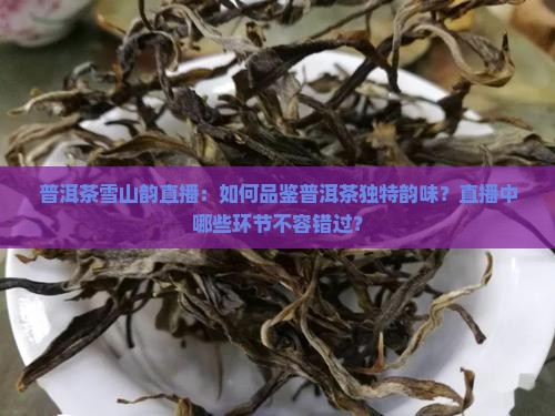 普洱茶雪山韵直播：如何品鉴普洱茶独特韵味？直播中哪些环节不容错过？