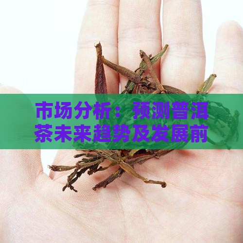 市场分析：预测普洱茶未来趋势及发展前景