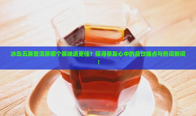 冰岛五寨普洱茶哪个寨味道更佳？探寻茶友心中的品饮痛点与热词新词！