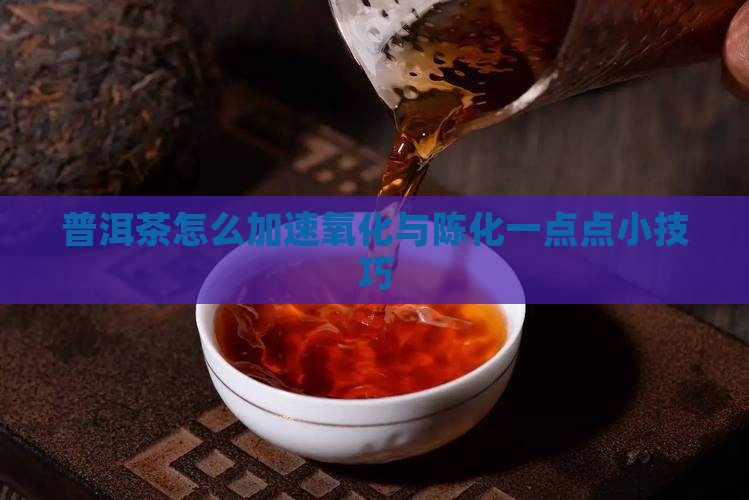 普洱茶怎么加速氧化与陈化一点点小技巧
