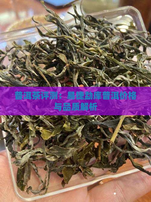 普洱茶评测：易捷勐库普洱价格与品质解析