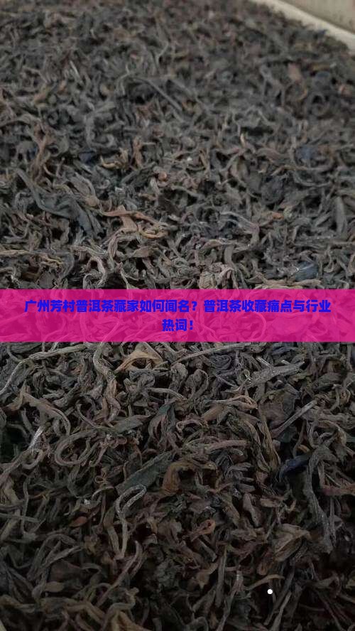 广州芳村普洱茶藏家如何闻名？普洱茶收藏痛点与行业热词！