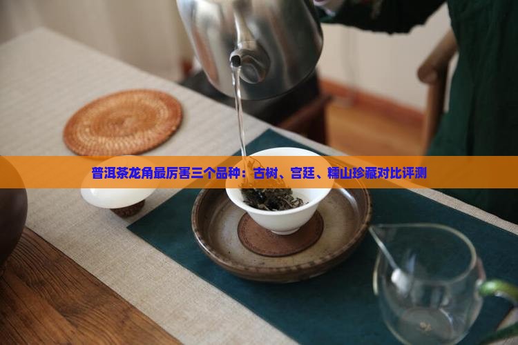 普洱茶龙角最厉害三个品种：古树、宫廷、糯山珍藏对比评测