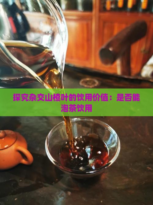 探究杂交山楂叶的饮用价值：是否能泡茶饮用