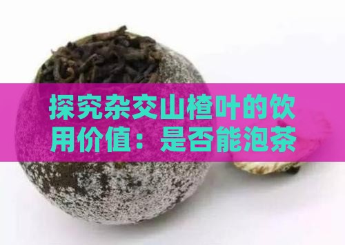 探究杂交山楂叶的饮用价值：是否能泡茶饮用