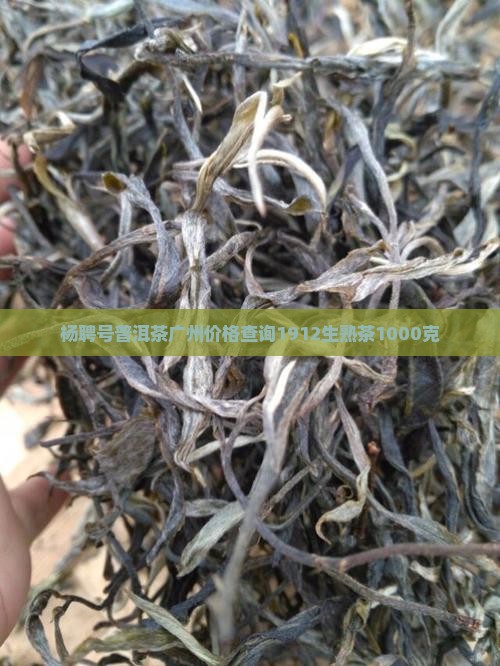 杨聘号普洱茶广州价格查询1912生熟茶1000克