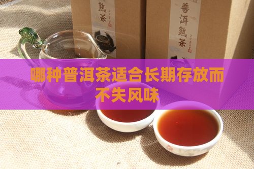 哪种普洱茶适合长期存放而不失风味