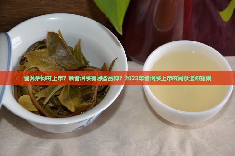普洱茶何时上市？新普洱茶有哪些品种？2023年普洱茶上市时间及选购指南