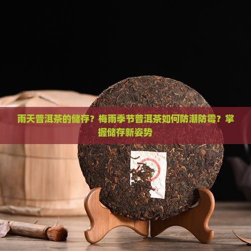 雨天普洱茶的储存？梅雨季节普洱茶如何防潮防霉？掌握储存新姿势