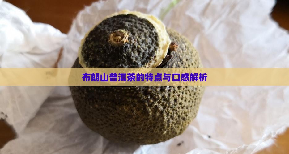 布朗山普洱茶的特点与口感解析