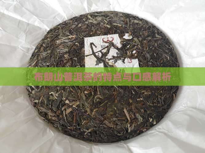 布朗山普洱茶的特点与口感解析