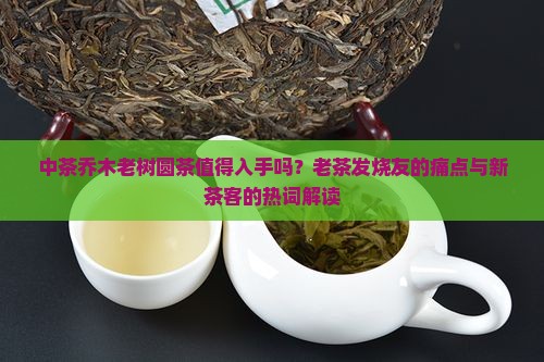 中茶乔木老树圆茶值得入手吗？老茶发烧友的痛点与新茶客的热词解读