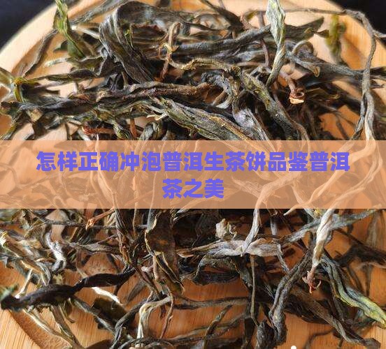 怎样正确冲泡普洱生茶饼品鉴普洱茶之美