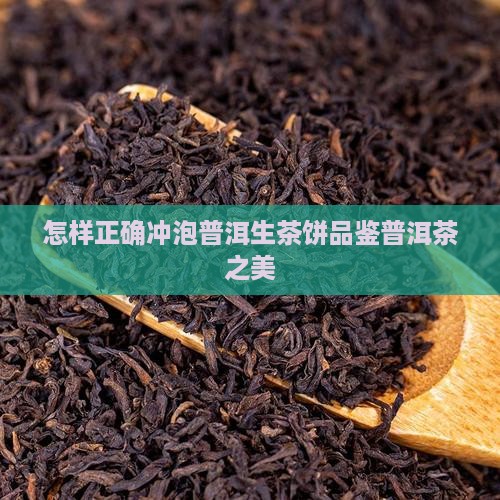 怎样正确冲泡普洱生茶饼品鉴普洱茶之美