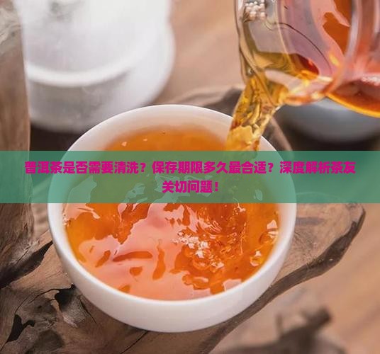 普洱茶是否需要清洗？保存期限多久最合适？深度解析茶友关切问题！