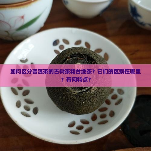 如何区分普洱茶的古树茶和台地茶？它们的区别在哪里？有何特点？