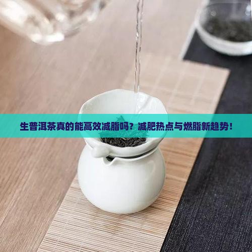 生普洱茶真的能高效减脂吗？减肥热点与燃脂新趋势！