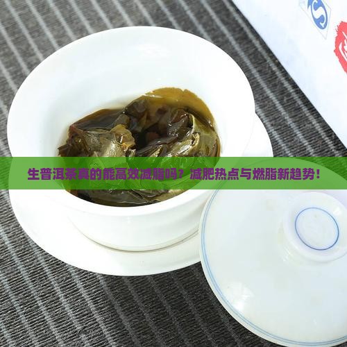 生普洱茶真的能高效减脂吗？减肥热点与燃脂新趋势！