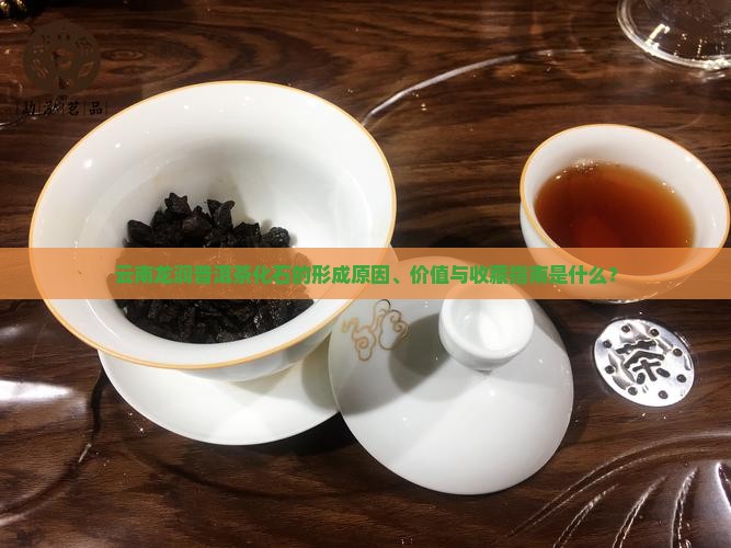 云南龙润普洱茶化石的形成原因、价值与收藏指南是什么？