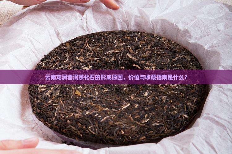 云南龙润普洱茶化石的形成原因、价值与收藏指南是什么？