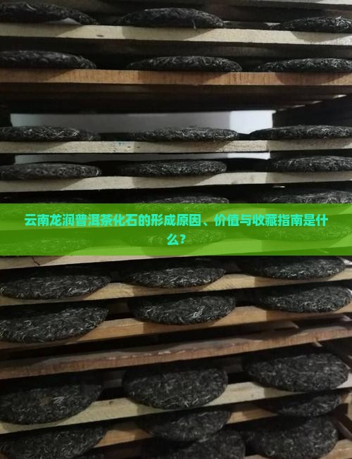 云南龙润普洱茶化石的形成原因、价值与收藏指南是什么？