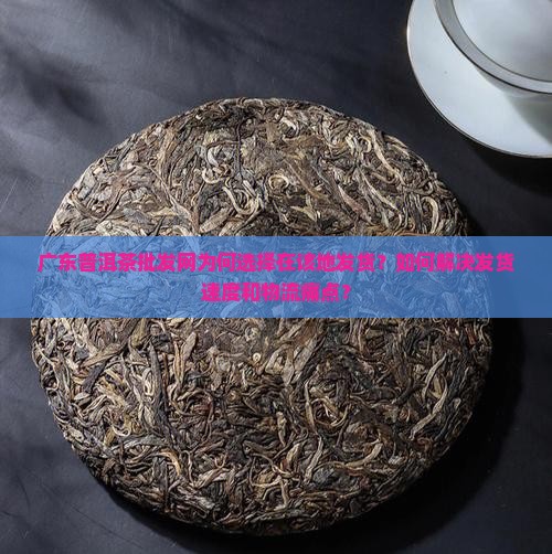 广东普洱茶批发网为何选择在该地发货？如何解决发货速度和物流痛点？