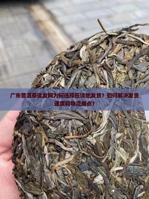 广东普洱茶批发网为何选择在该地发货？如何解决发货速度和物流痛点？