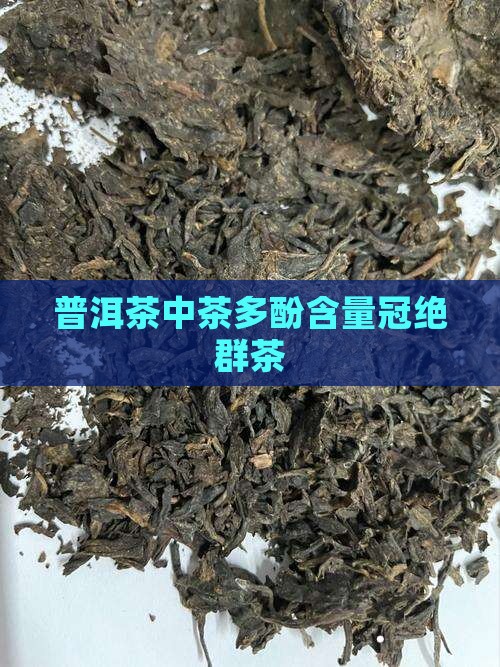 普洱茶中茶多酚含量冠绝群茶