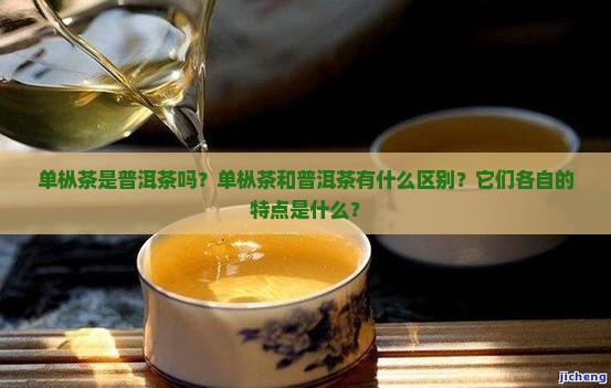 单枞茶是普洱茶吗？单枞茶和普洱茶有什么区别？它们各自的特点是什么？