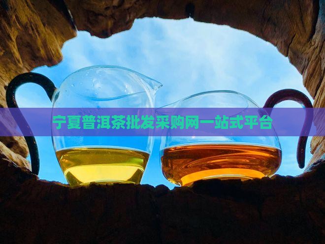 宁夏普洱茶批发采购网一站式平台