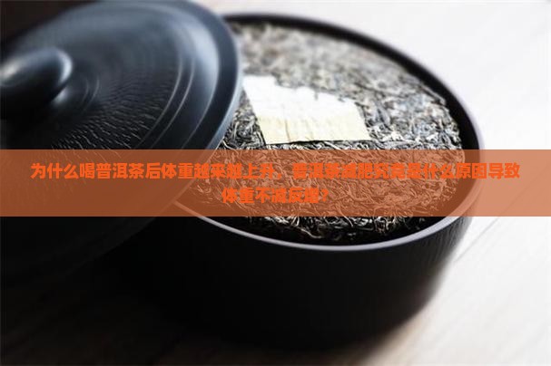 为什么喝普洱茶后体重越来越上升，普洱茶减肥究竟是什么原因导致体重不减反增？